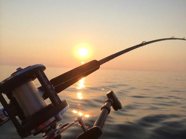 Fishing Rod In The Ocean.