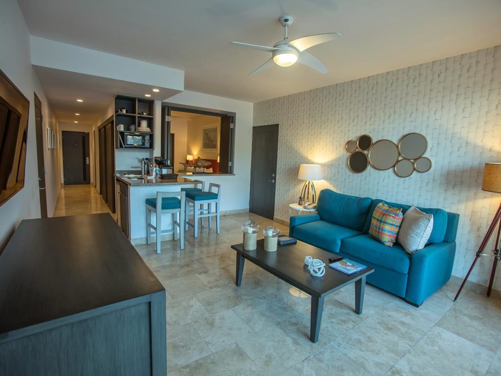Suite Living Room And Kitchenette.