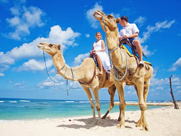 Couple Riding A Camel On The Beach.