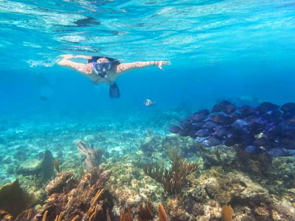 Person Snorkeling.