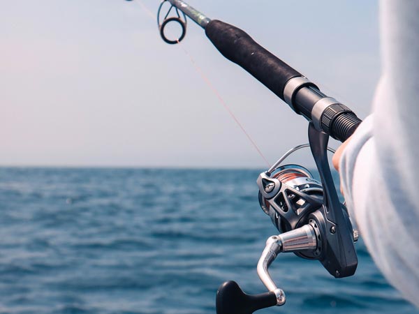La pesca en el océano.